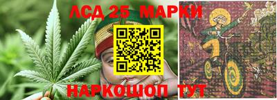 тгк Канаш