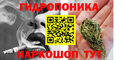 скорость Кандалакша