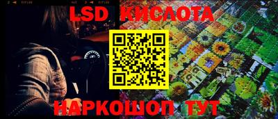 тгк Канаш