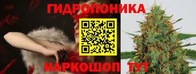 прущие крисы Камышлов