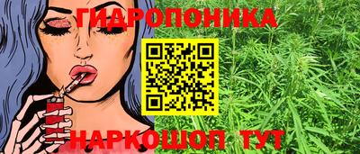 прущие крисы Камышлов