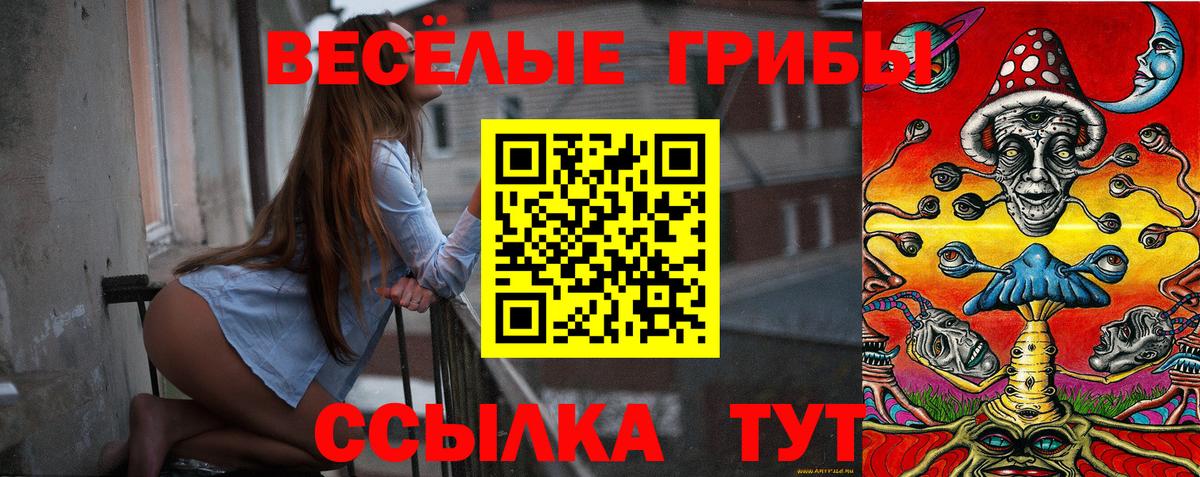 Кызыл  Псилоцибиновые грибы Psilocybe  Вход с VPN 