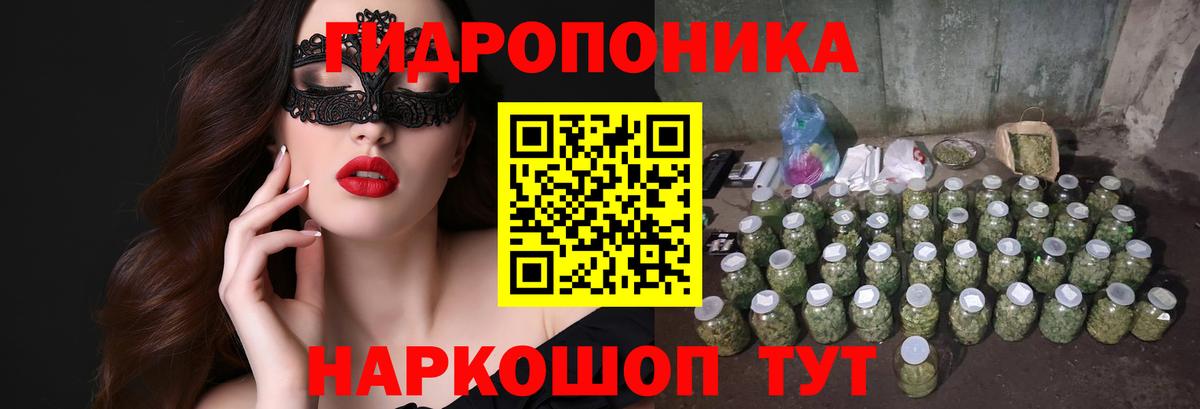 Каннабис OG Kush  Конопля марихуана  Кызыл  Вход с VPN 